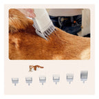 Grooming Vacuum 5-in-1 - 10000Pa Strong Suction - Professional Clippers for Dogs Cats and Other Animals