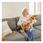 Grooming Vacuum 5-in-1 - 10000Pa Strong Suction - Professional Clippers for Dogs Cats and Other Animals