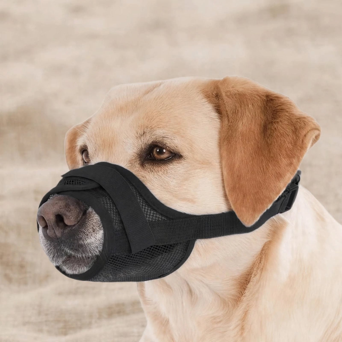 Mesh Dog Muzzle 2pcs - Breathable - Adjustable - Anti Chew