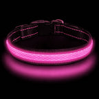 LED Dog Collar - Light Up - USB Rechargeable - Adjustable