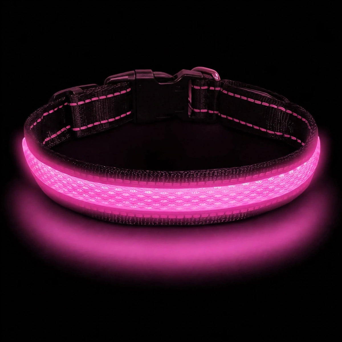 LED Dog Collar - Light Up - USB Rechargeable - Adjustable