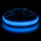LED Dog Collar - Light Up - USB Rechargeable - Adjustable