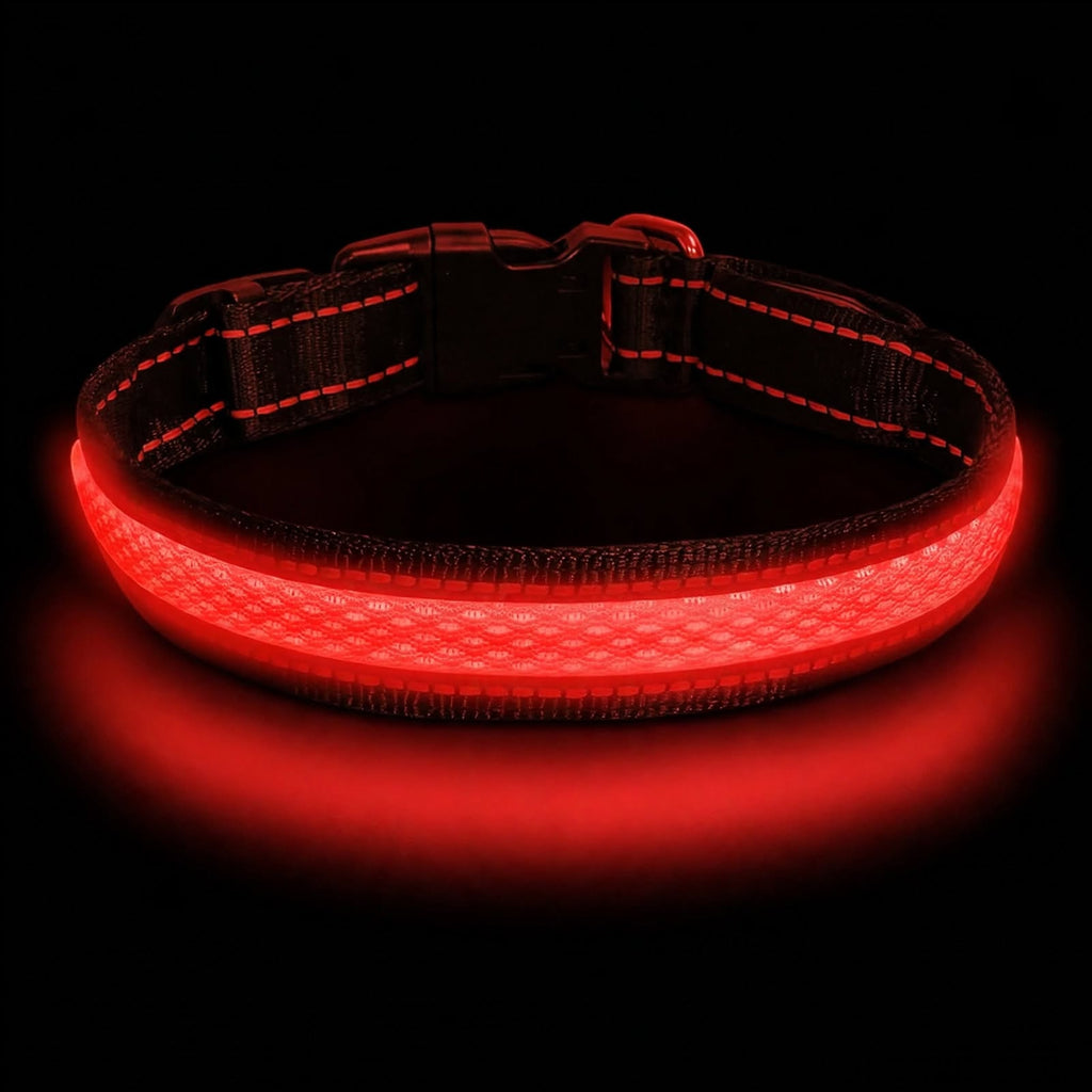 LED Dog Collar - Light Up - USB Rechargeable - Adjustable
