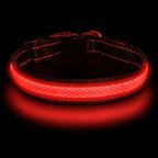 LED Dog Collar - Light Up - USB Rechargeable - Adjustable