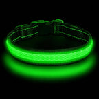 LED Dog Collar - Light Up - USB Rechargeable - Adjustable