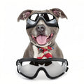 Dog Goggles - UV Protection - Windproof Dustproof - Adjustable - Black