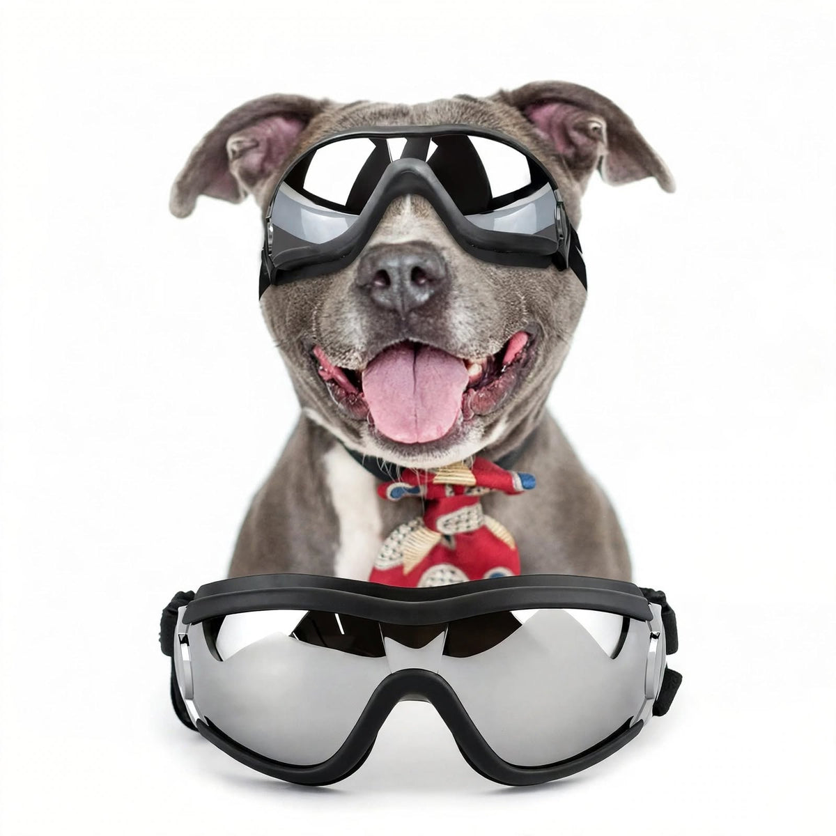 Dog Goggles - UV Protection - Windproof Dustproof - Adjustable - Black
