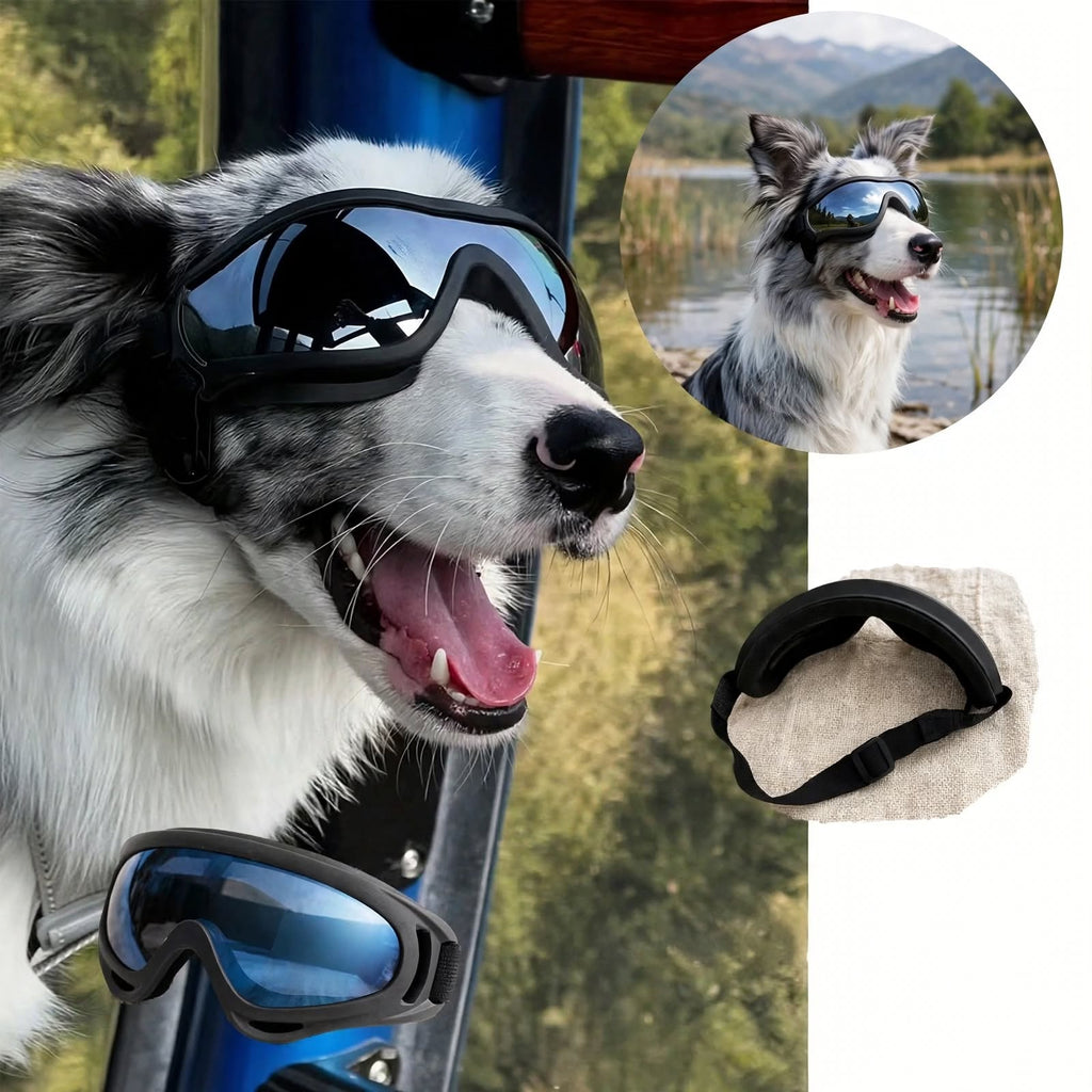 Dog Goggles - UV Protection - Windproof Dustproof - Adjustable - Black