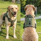 Tactical Dog Harness - No Pull Adjustable Reflective Vest - Large Dogs