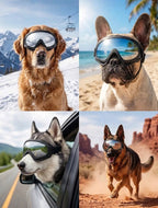 Dog Goggles - UV Protection - Windproof Dustproof - Adjustable - Black