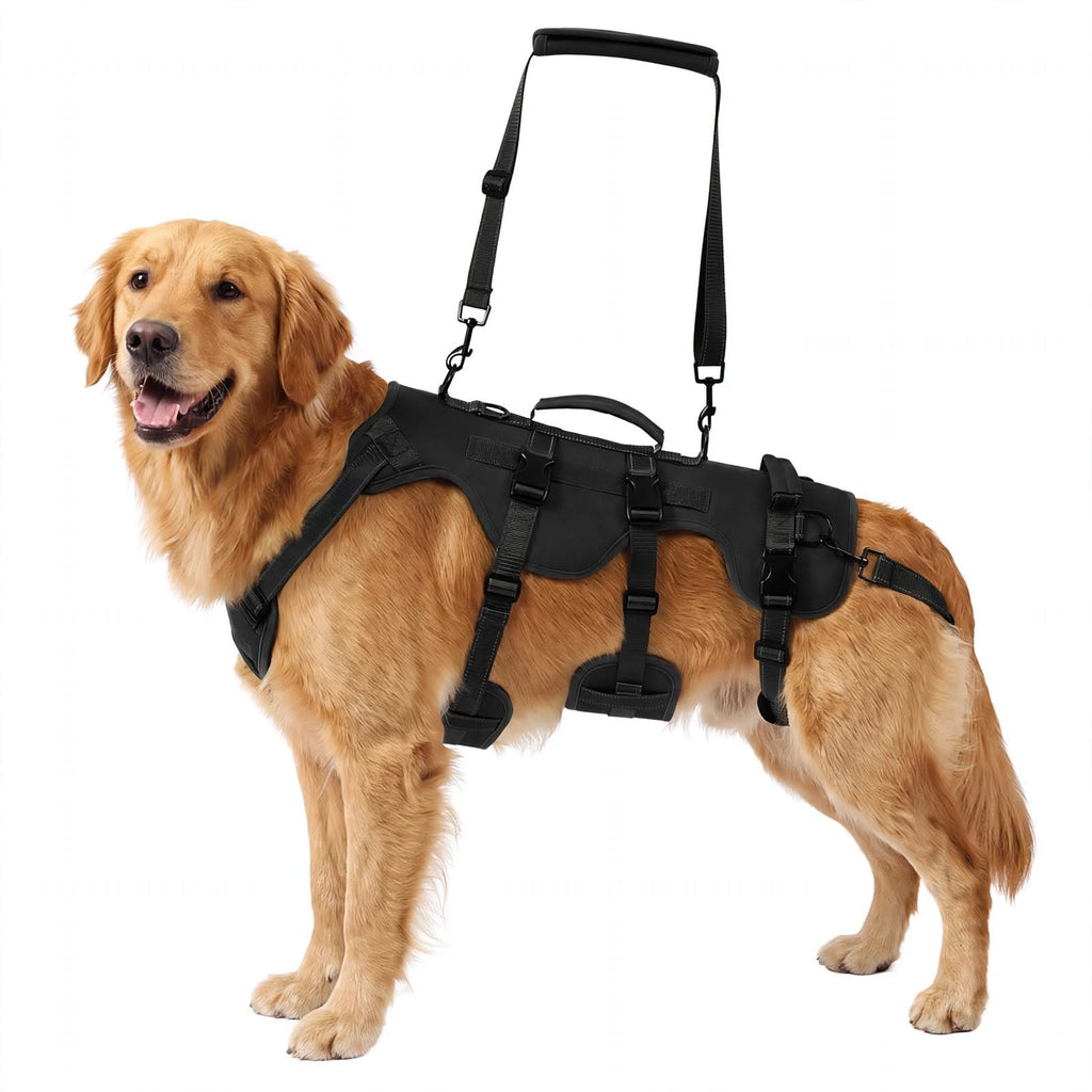 Dog Lift Harness - Hind Leg Support - Mobility Aid for Senior Dogs