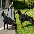 Dog Lift Harness - Hind Leg Support - Mobility Aid for Senior Dogs
