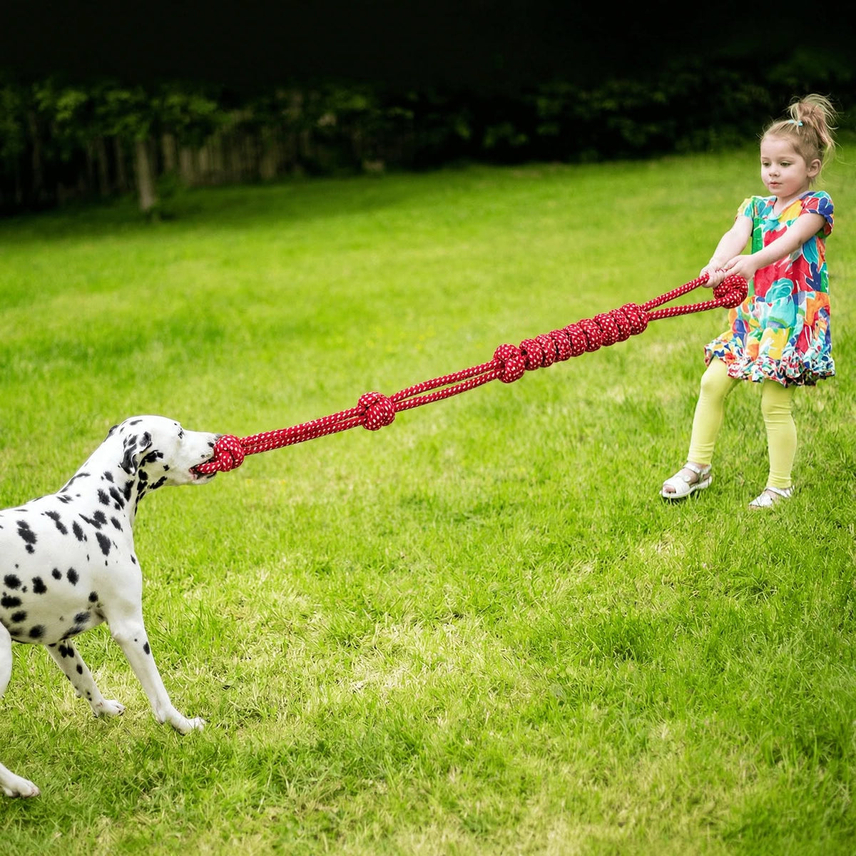 Large Dog Rope Toy - Heavy Duty Chew Toy for Aggressive Chewers