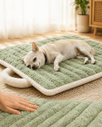 Machine Washable Dog Bed Mat - Plush Quilted - Portable