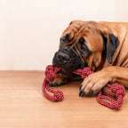Large Dog Rope Toy - Heavy Duty Chew Toy for Aggressive Chewers