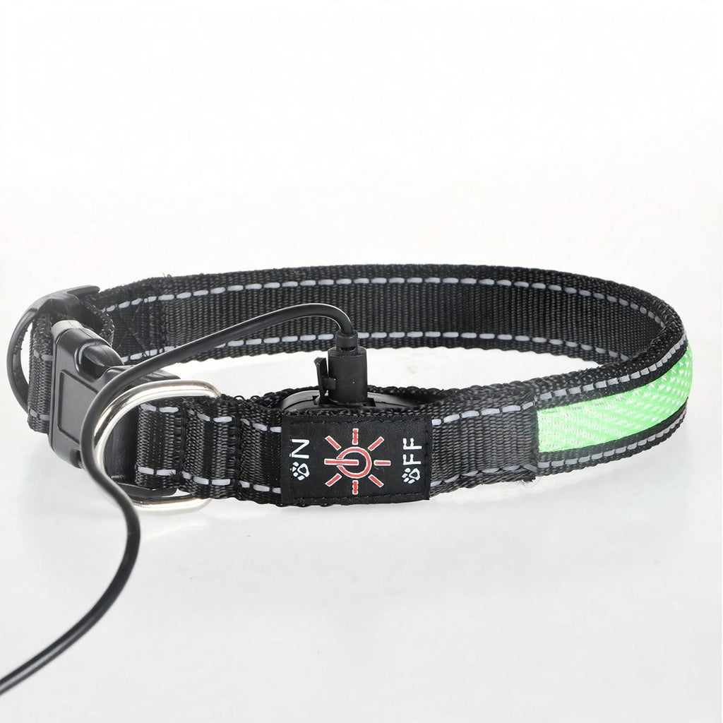 LED Dog Collar - Light Up - USB Rechargeable - Adjustable