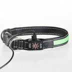 LED Dog Collar - Light Up - USB Rechargeable - Adjustable