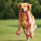 Large Dog Rope Toy - Heavy Duty Chew Toy for Aggressive Chewers