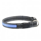 LED Dog Collar - Light Up - USB Rechargeable - Adjustable