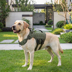 Tactical Dog Harness - No Pull Adjustable Reflective Vest - Large Dogs