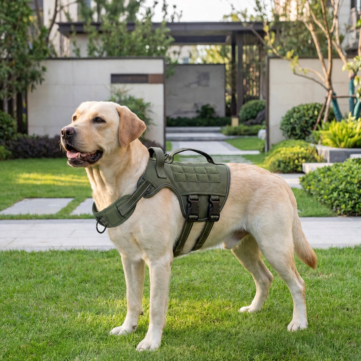 Tactical Dog Harness - No Pull Adjustable Reflective Vest - Large Dogs