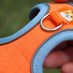 Reflective Dog Harness and Leash Set - Adjustable Breathable Vest
