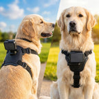 Dog Camera Mount Harness - Adjustable - Dual POV - For Small Large Dogs