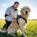 Dog Camera Mount Harness - Adjustable - Dual POV - For Small Large Dogs