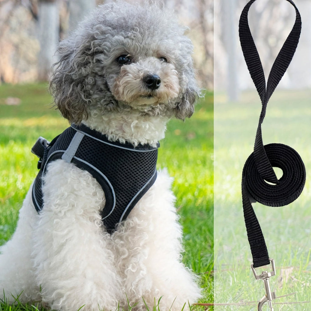 Reflective Dog Harness and Leash Set - Breathable Mesh - Adjustable