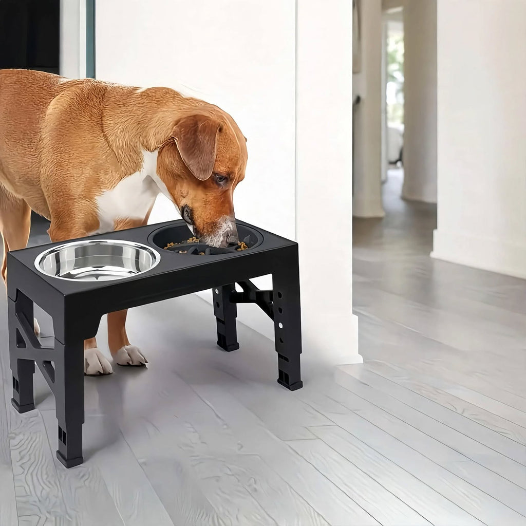 Adjustable Elevated Dog Bowls Stand - 5 Heights - Slow Feeder + Steel
