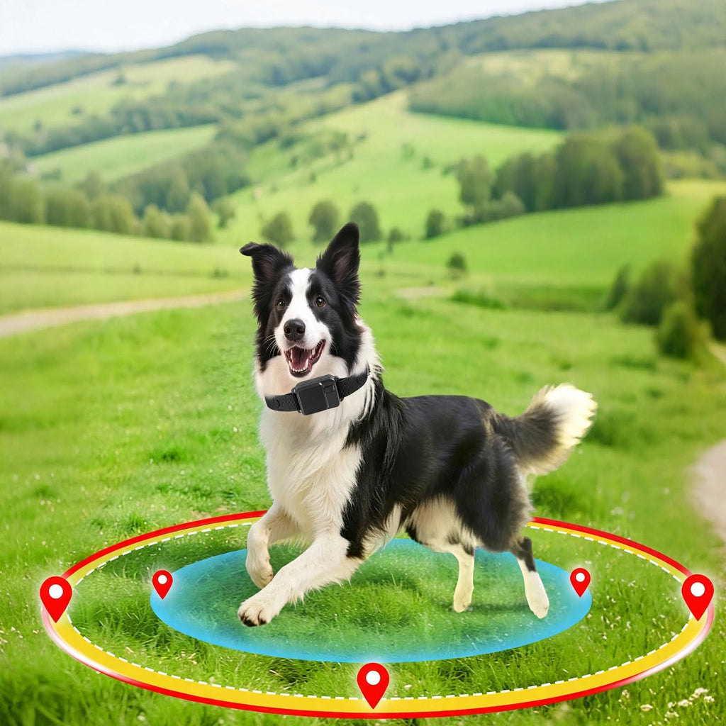 GPS Wireless Dog Fence - Adjustable Radius 49-6561 FT - No APP Needed