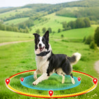 GPS Wireless Dog Fence - Adjustable Radius 49-6561 FT - No APP Needed