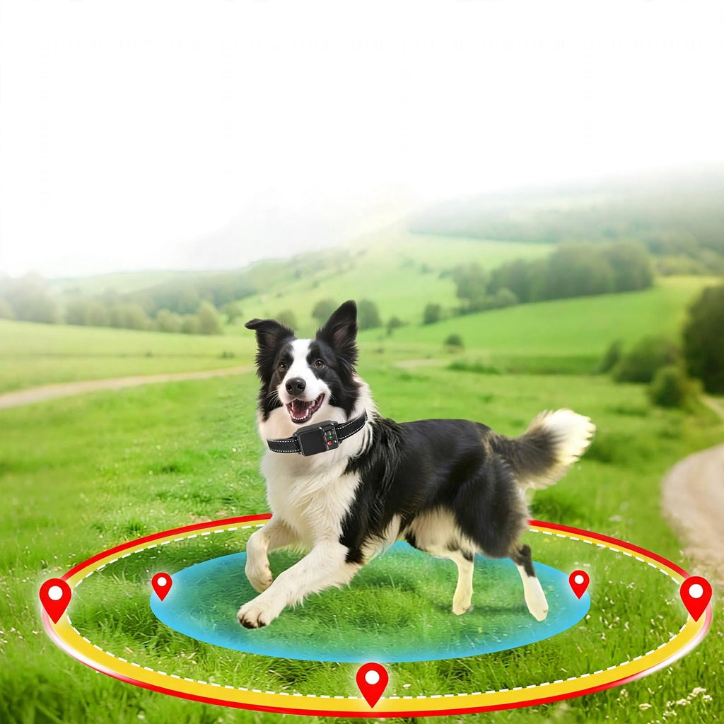GPS Wireless Dog Fence - Adjustable Radius 49-6561 FT - No APP Needed