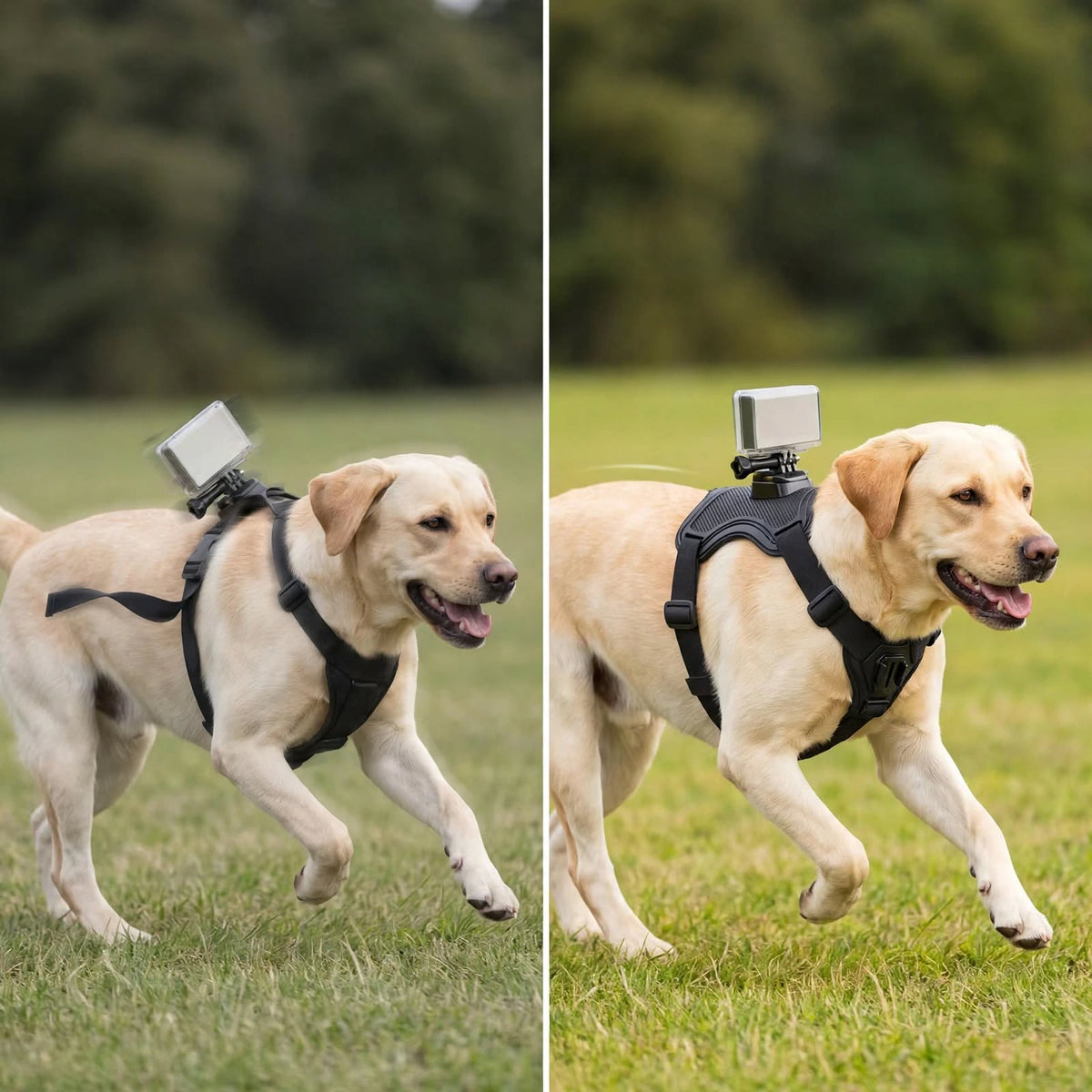 Dog Camera Mount Harness - Adjustable - Dual POV - For Small Large Dogs