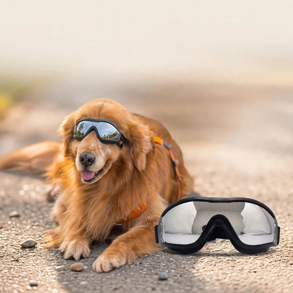Dog Goggles - UV Protection - Windproof Dustproof - Adjustable - Black