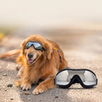 Dog Goggles - UV Protection - Windproof Dustproof - Adjustable - Black