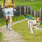 Reflective Double Dog Leash - 2 Traffic Handles - Bungee - No Tangle