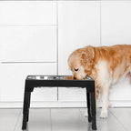 Adjustable Elevated Dog Bowls Stand - 5 Heights - Slow Feeder + Steel