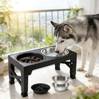 Adjustable Elevated Dog Bowls Stand - 5 Heights - Slow Feeder + Steel