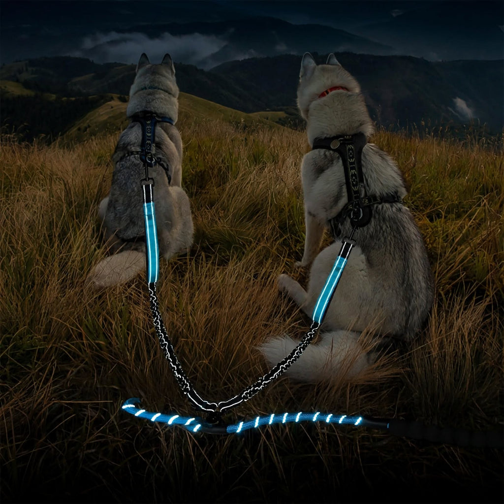 Reflective Double Dog Leash - 2 Traffic Handles - Bungee - No Tangle