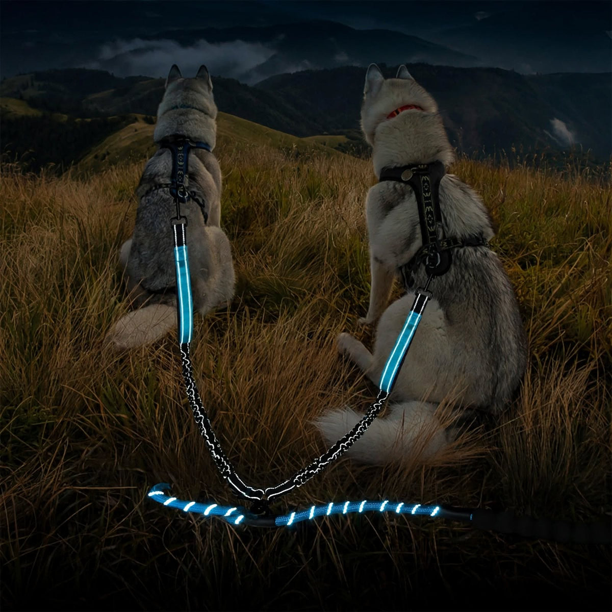 Reflective Double Dog Leash - 2 Traffic Handles - Bungee - No Tangle