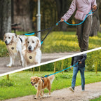 Reflective Double Dog Leash - 2 Traffic Handles - Bungee - No Tangle