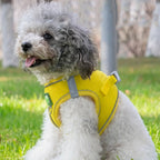 Reflective Dog Harness and Leash Set - Breathable Mesh - Adjustable