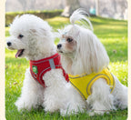 Reflective Dog Harness and Leash Set - Breathable Mesh - Adjustable