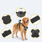 Dog Camera Mount Harness - Adjustable - Dual POV - For Small Large Dogs