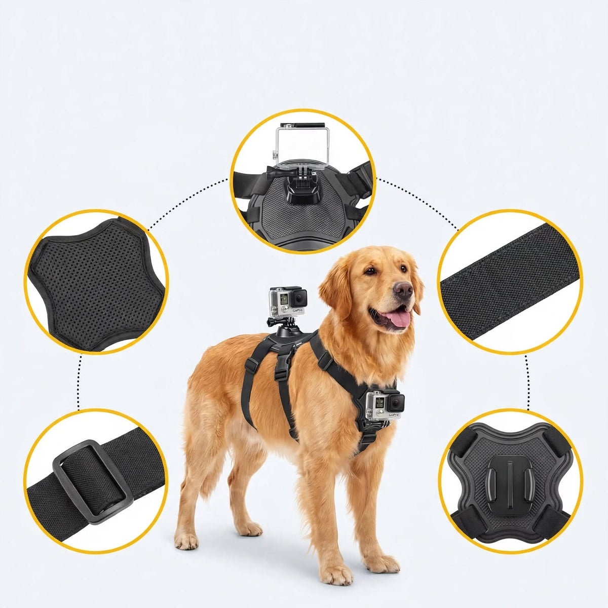 Dog Camera Mount Harness - Adjustable - Dual POV - For Small Large Dogs