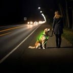 LED Dog Harness - Rechargeable Light Up Harness - 2Pcs Set