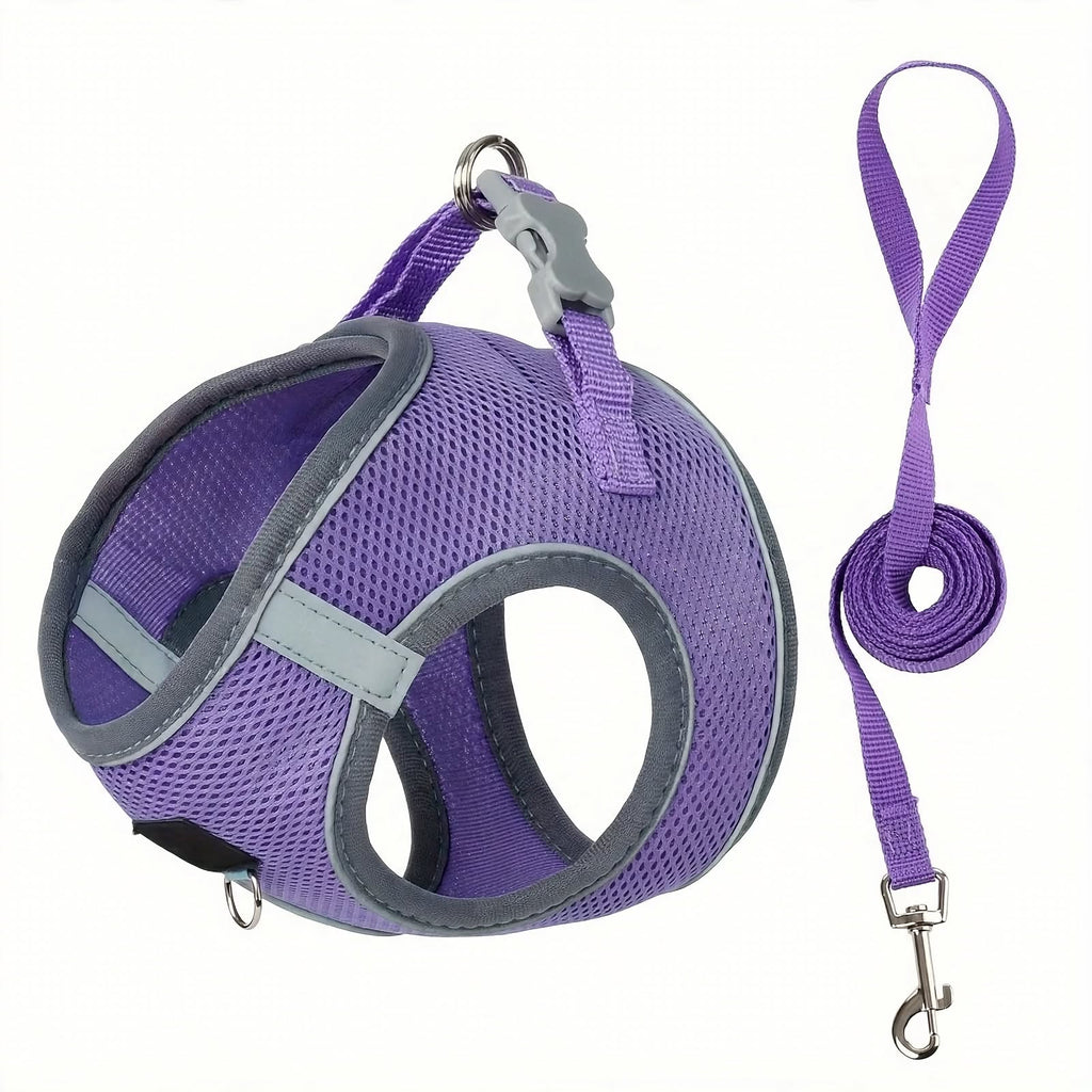 Reflective Dog Harness and Leash Set - Breathable Mesh - Adjustable