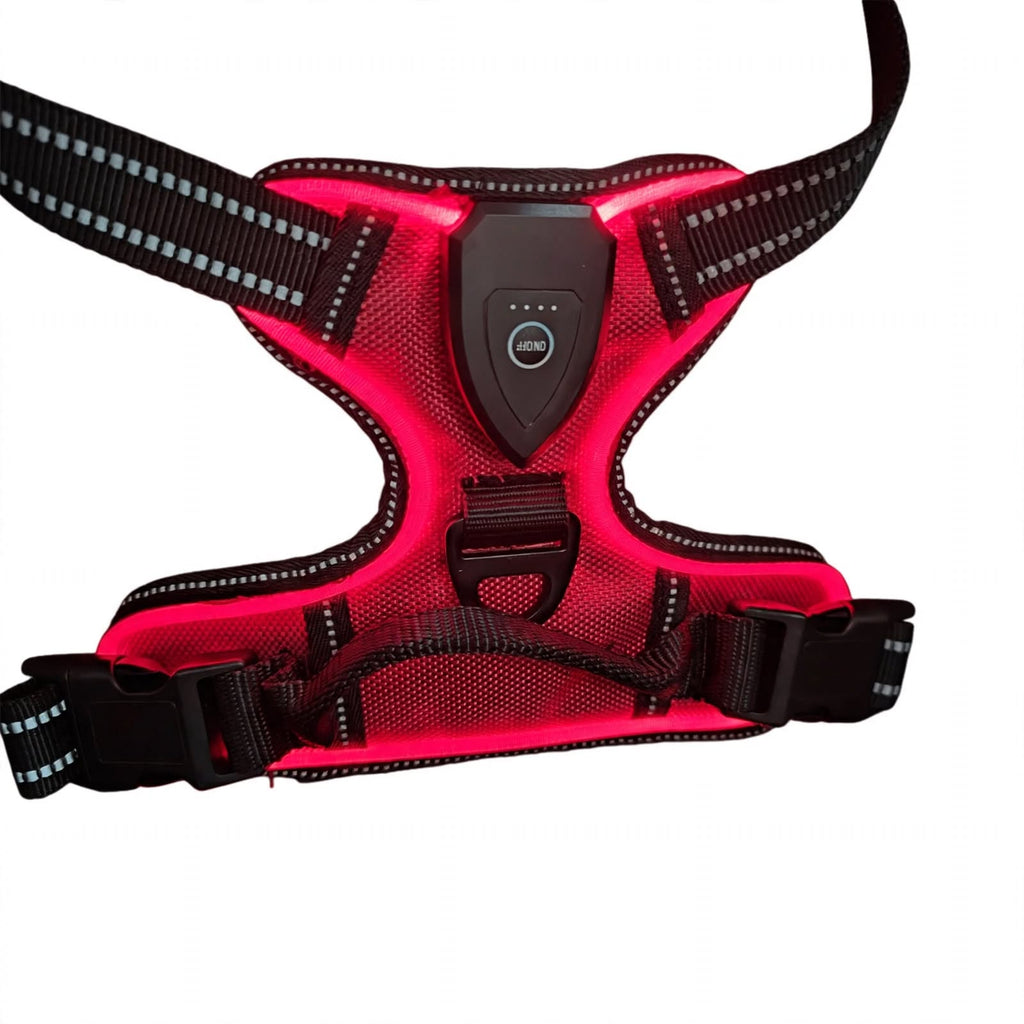 LED Dog Harness - Rechargeable Light Up Harness - 2Pcs Set