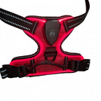 LED Dog Harness - Rechargeable Light Up Harness - 2Pcs Set